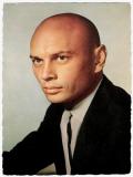 Photo de Yul Brynner