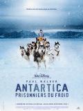 Affiche de Antartica, prisonniers du froid