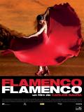 Affiche de Flamenco Flamenco