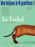 Affiche de Le Teckel
