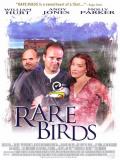 Affiche de Rare Birds