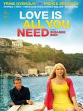 Affiche de Love is all you need