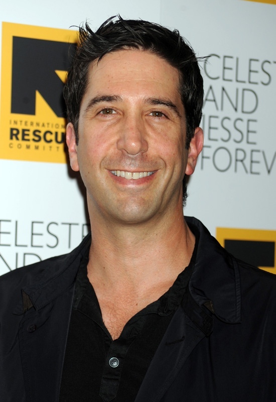 David Schwimmer