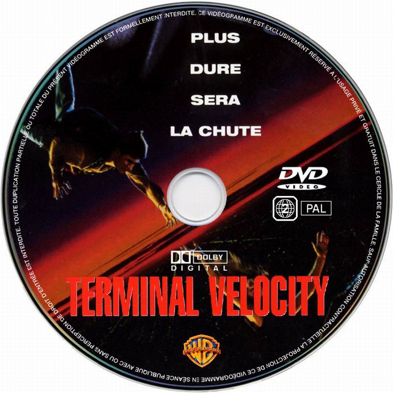 Terminal velocity v2