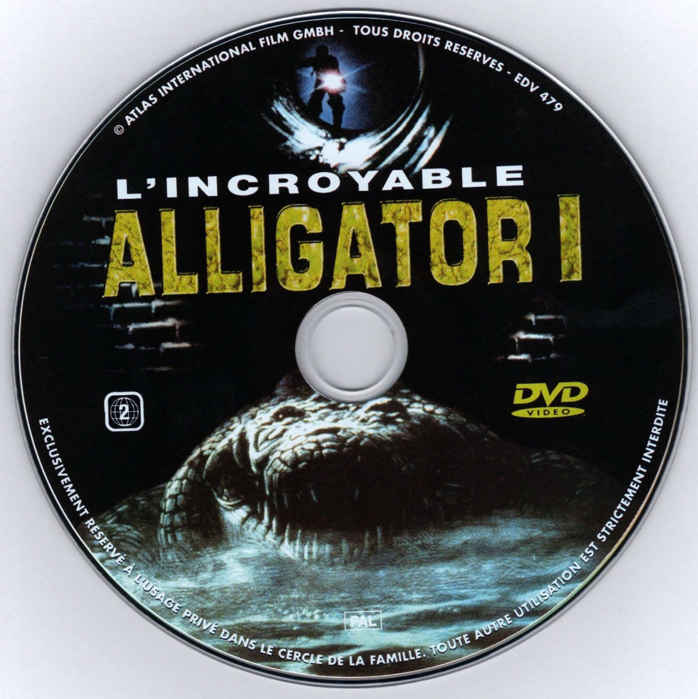 Alligator