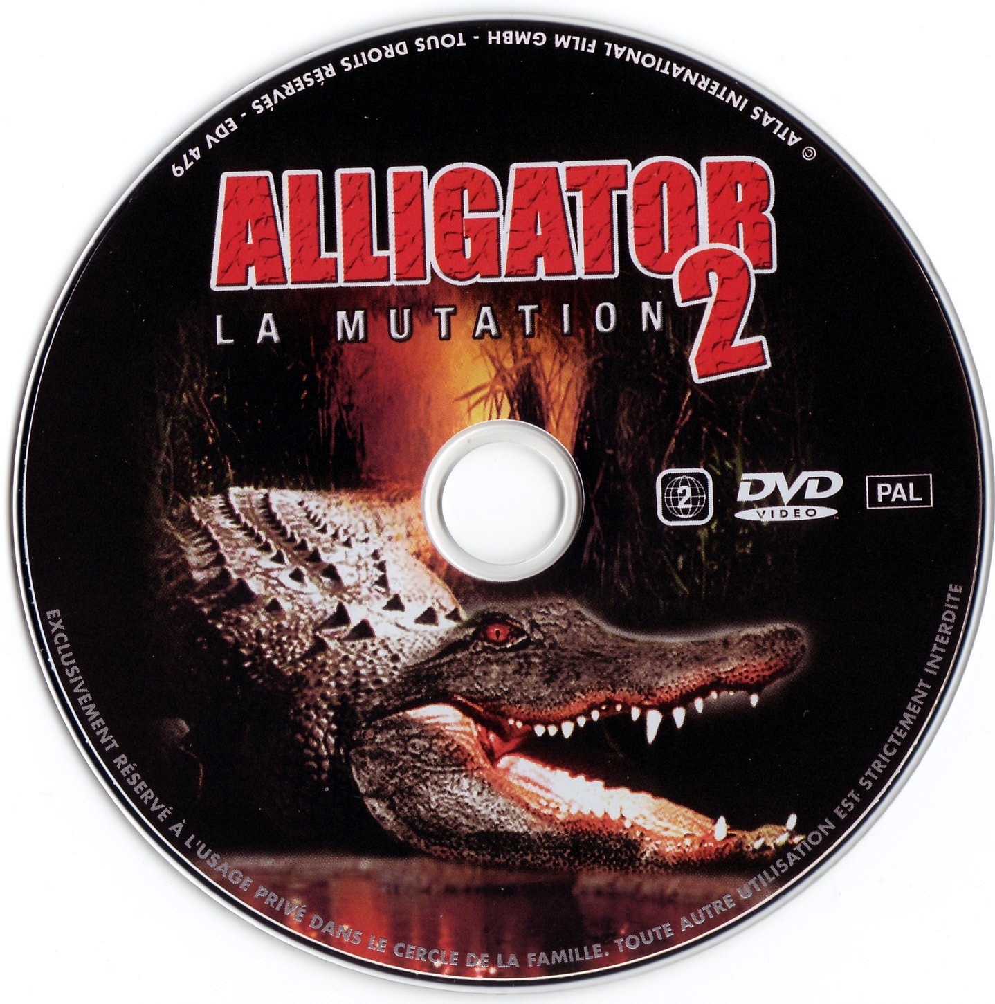 Alligator 2