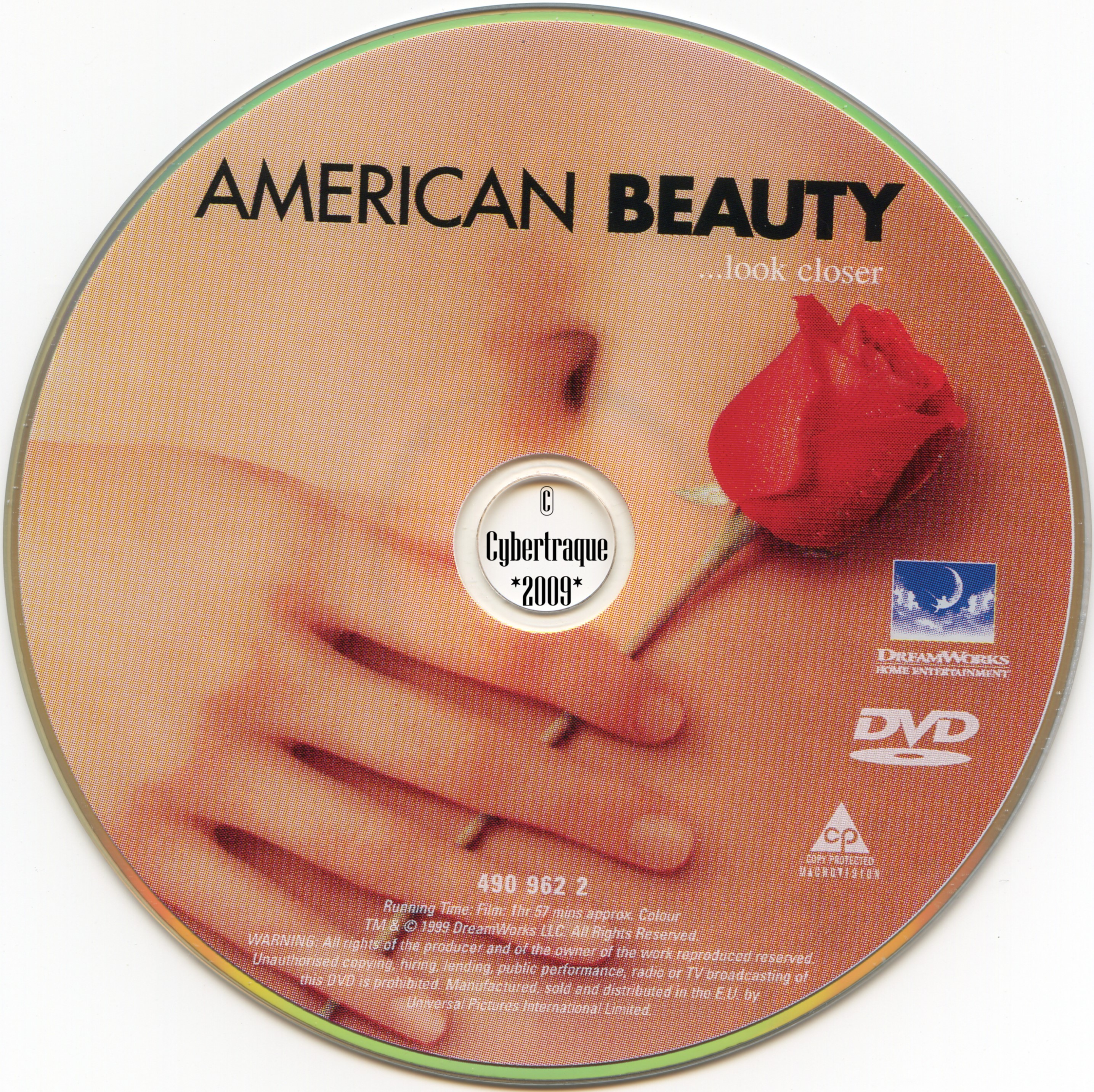 American beauty v2