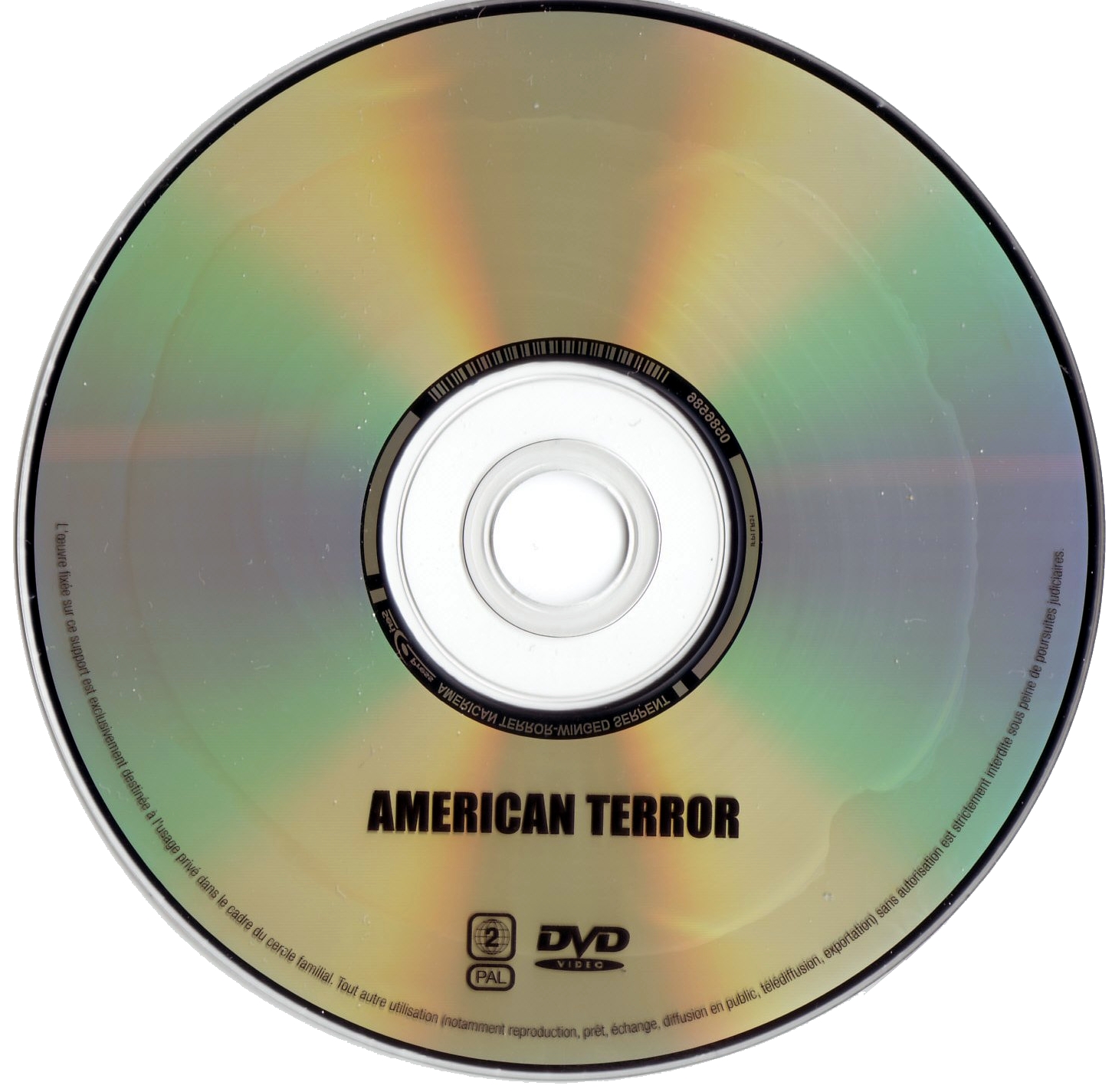 American terror