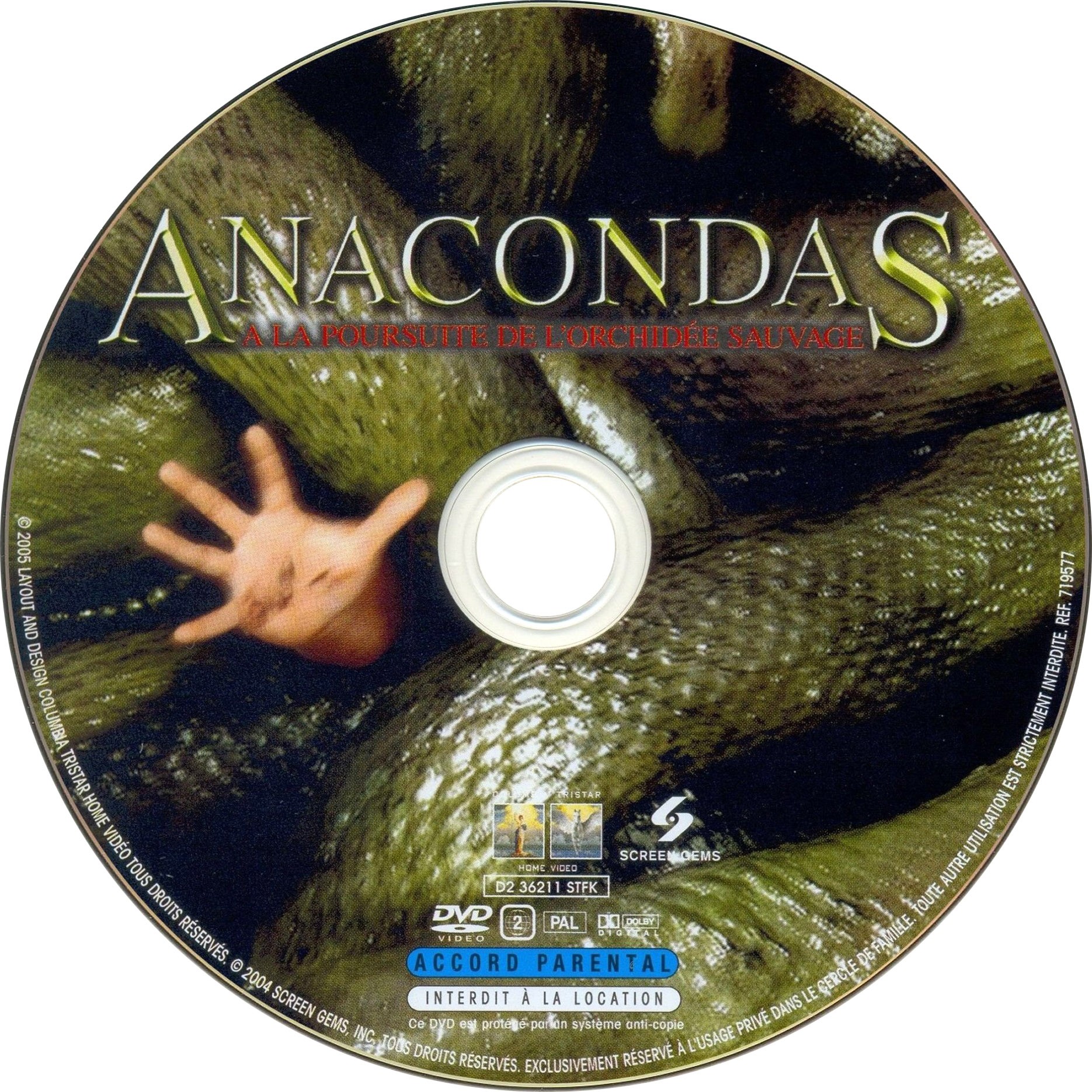 Anacondas