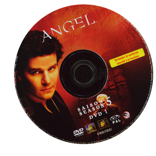 Angel Saison 5 vol 1