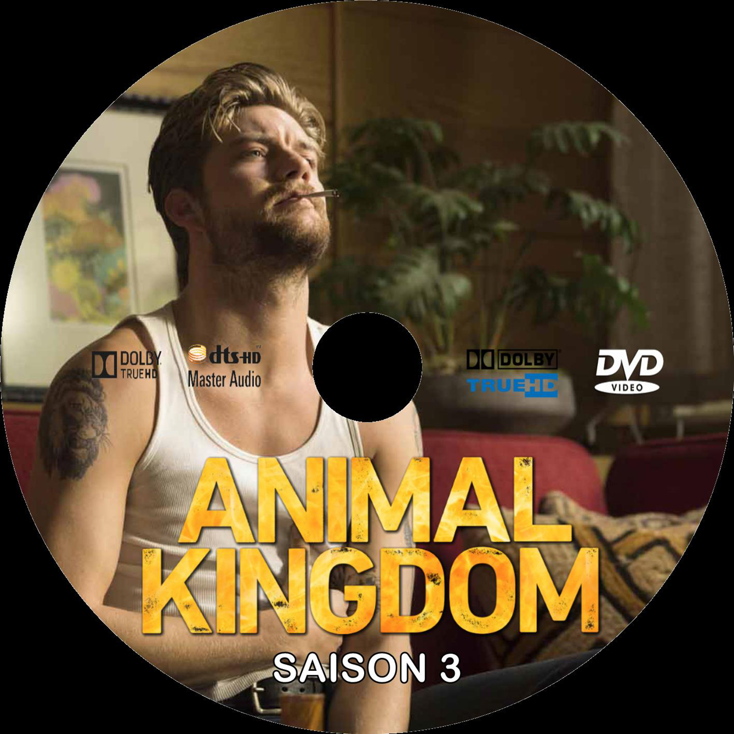 Animal Kingdom saison 3 custom