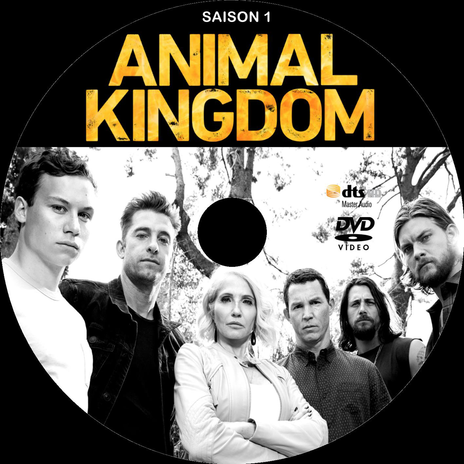 Animal kingdom saison 1 custom