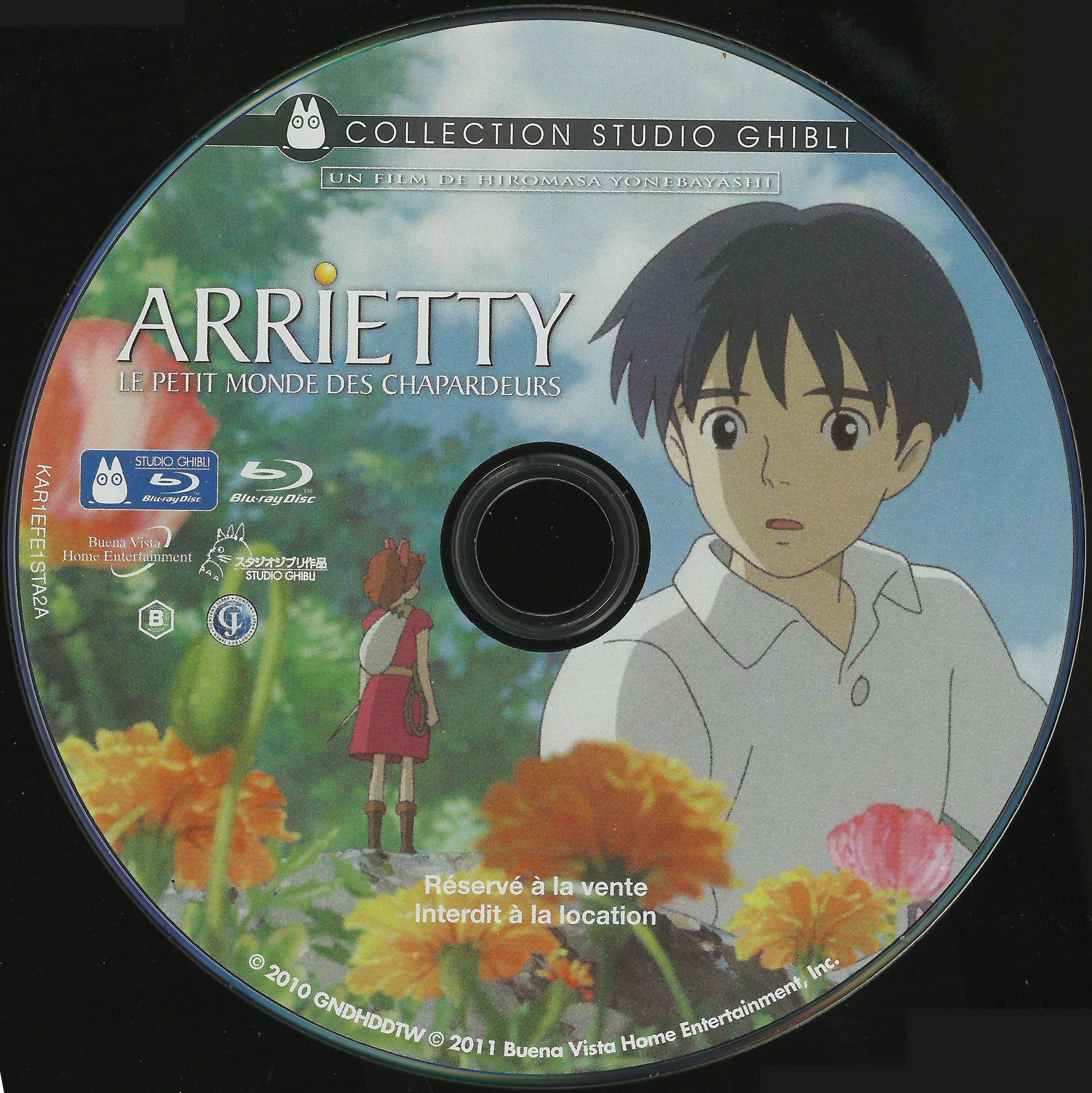 Arrietty Le petit monde des chapardeurs (BLU-RAY)