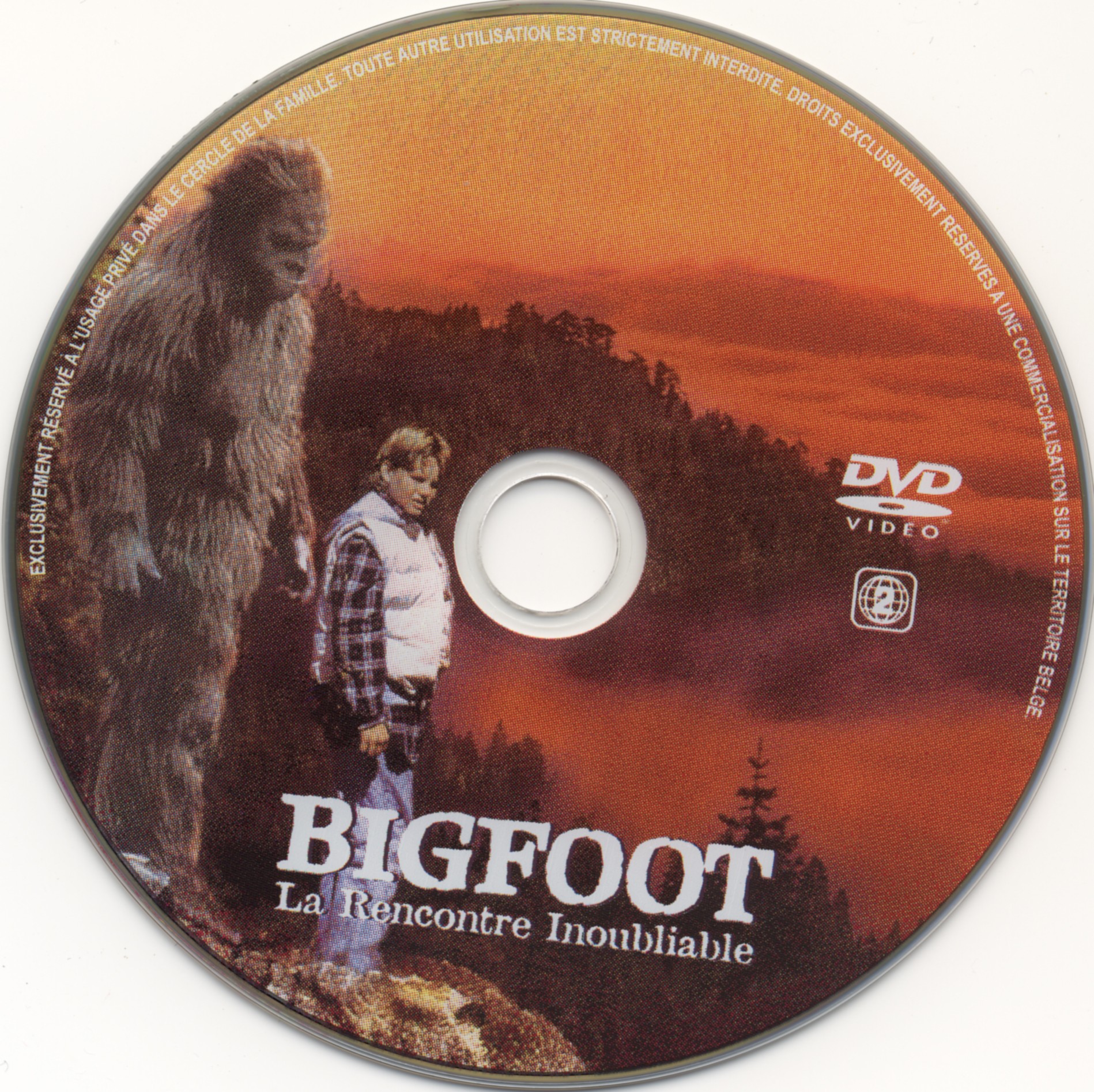 Bigfoot La rencontre inoubliable