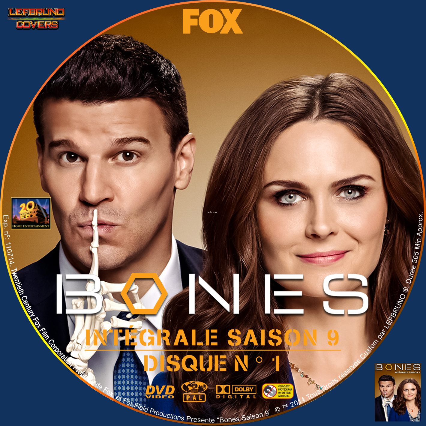 Bones Saison 9 DISC 1 custom