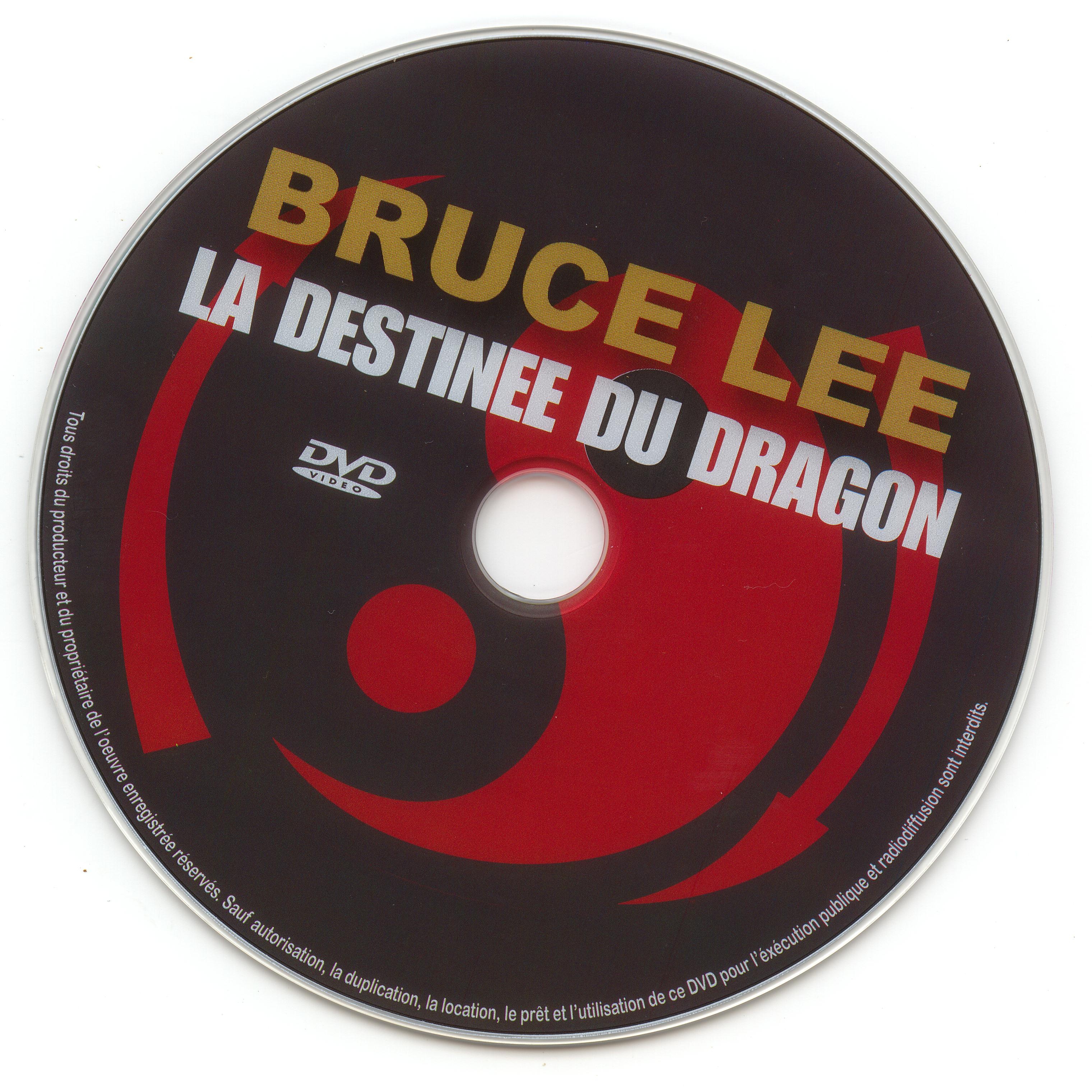Bruce Lee - la destine du dragon