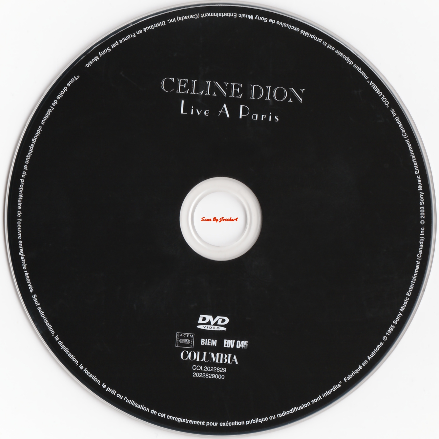 Celine Dion Live a Paris