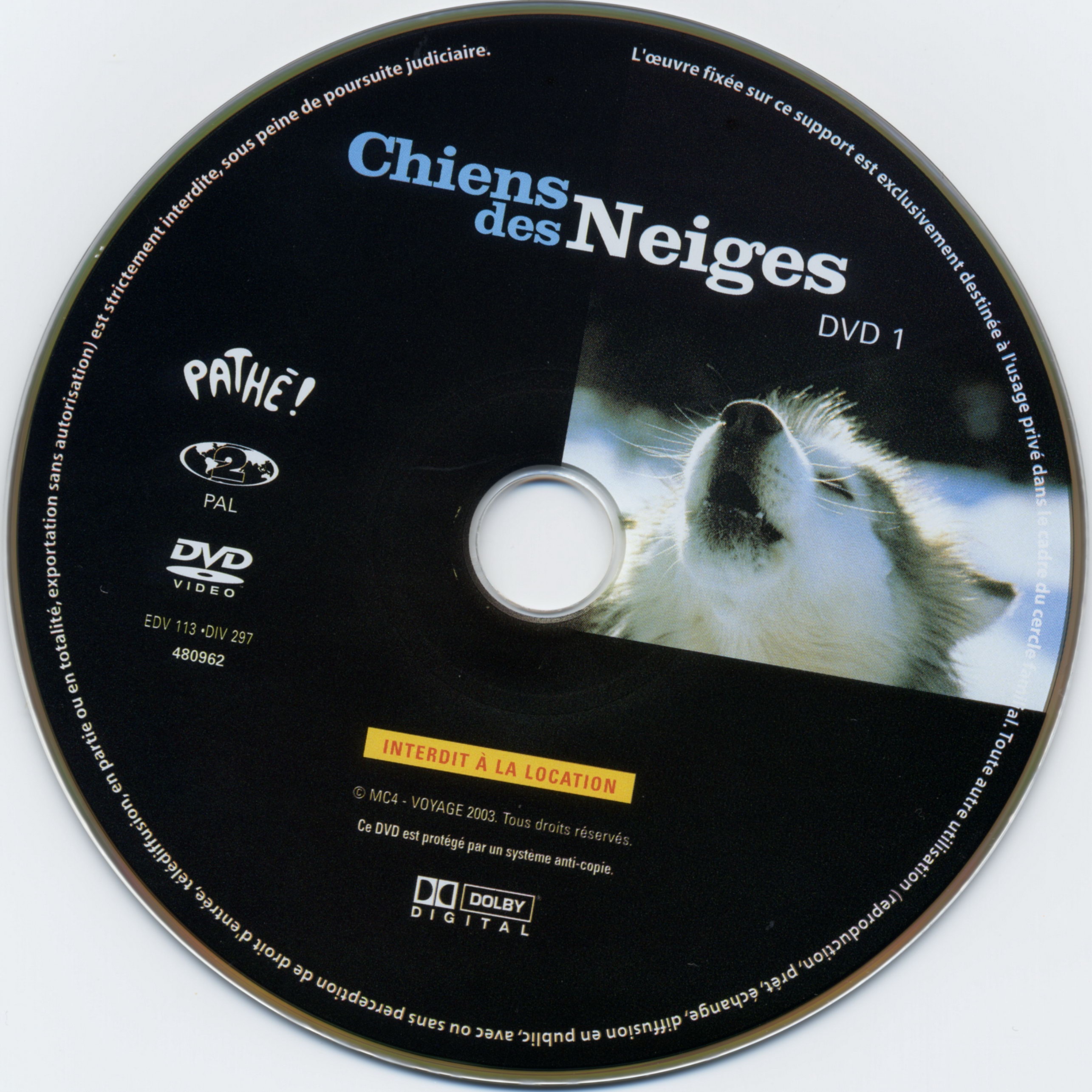 Chiens des neiges (Documentaire) DISC 1