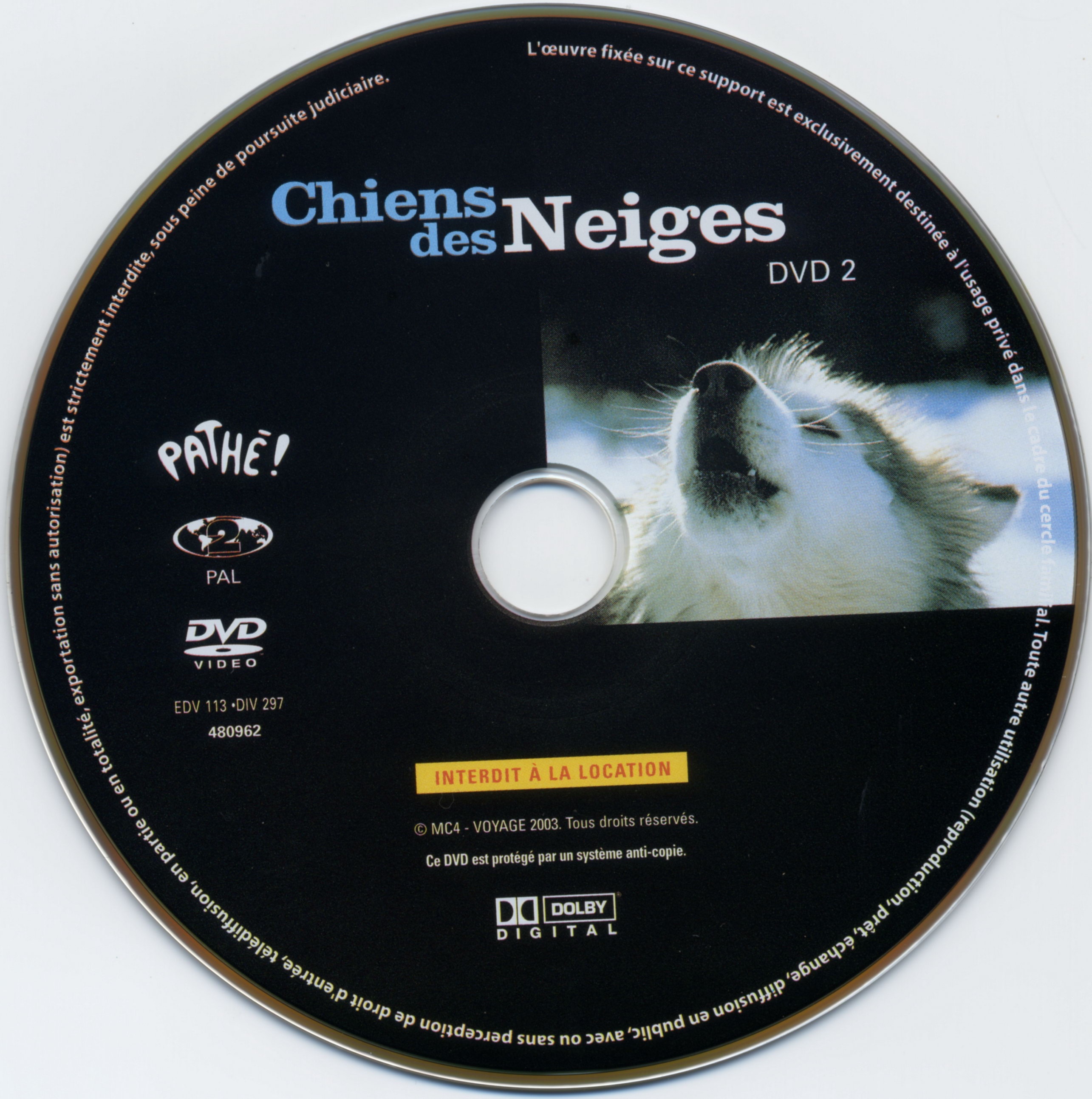 Chiens des neiges (Documentaire) DISC 2