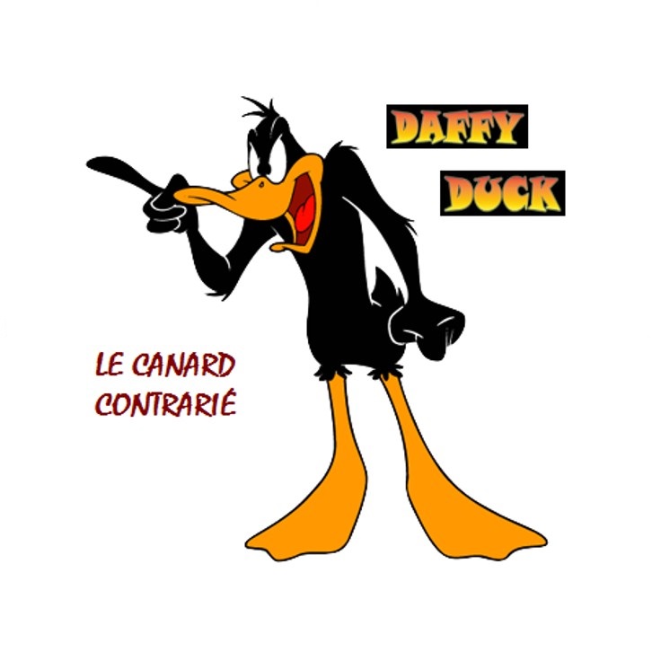 Daffy Duck Le Canard Contrarie