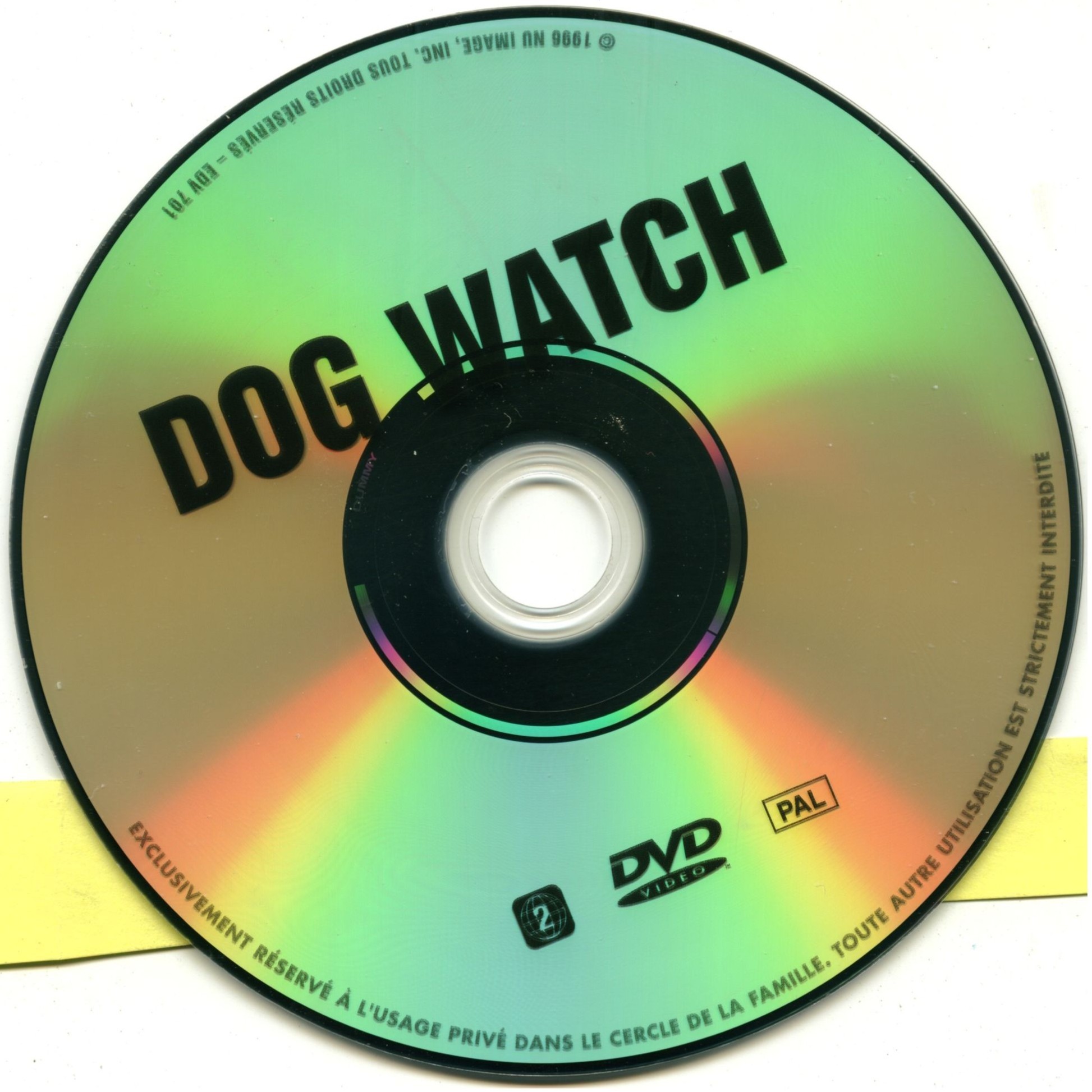 Dog watch