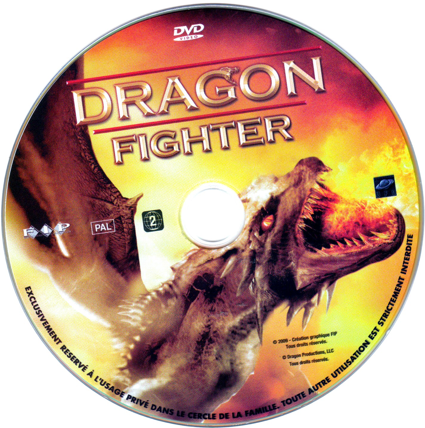 Dragon fighter