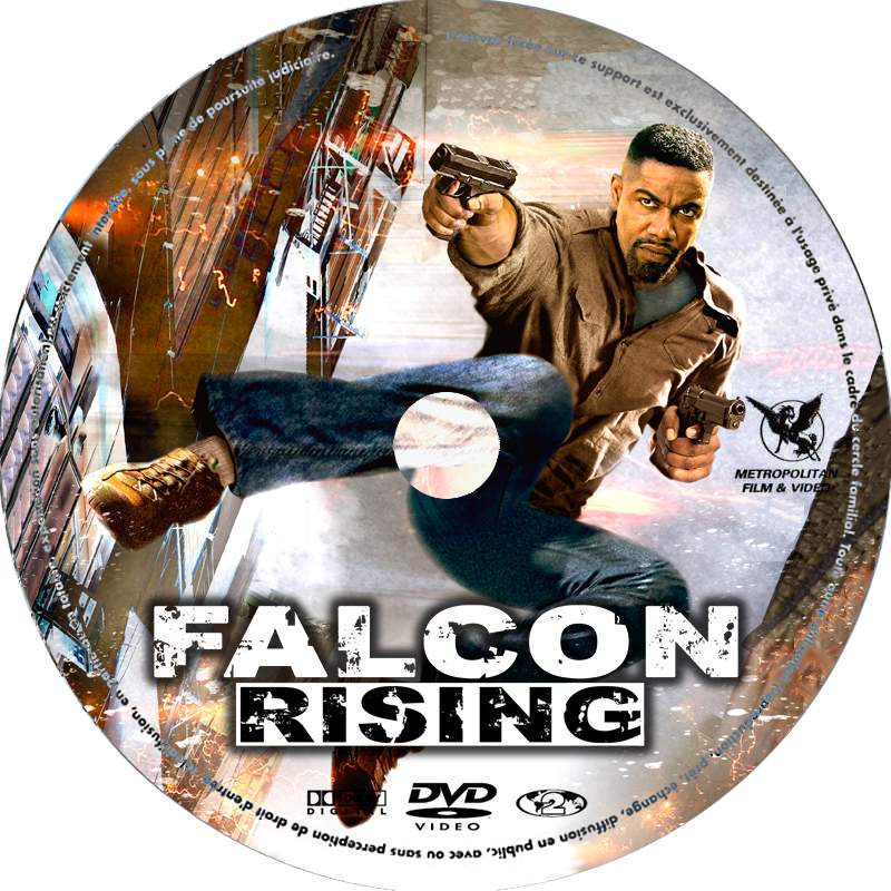 Falcon rising