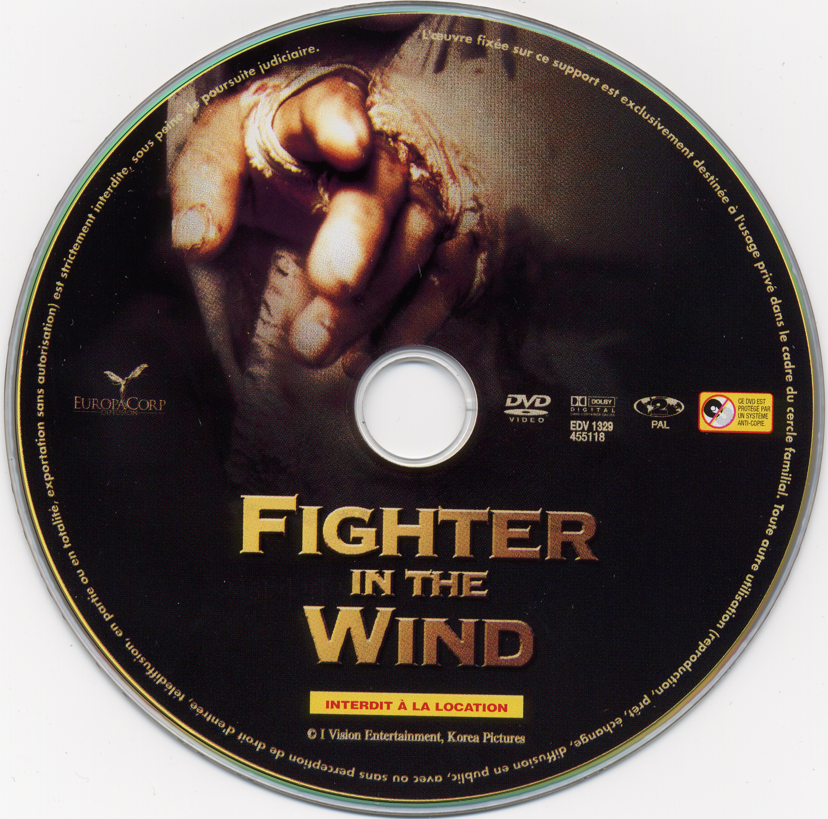Fighter in the wind