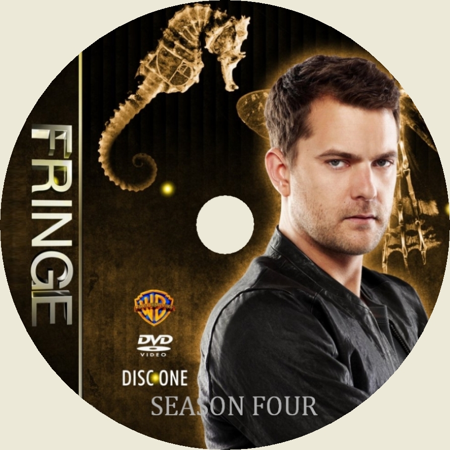 Fringe saison 4 DISC 1 custom