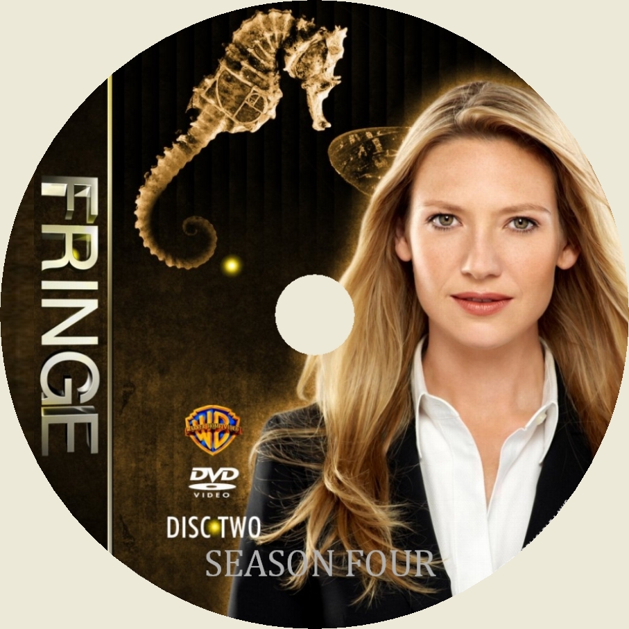Fringe saison 4 DISC 2 custom