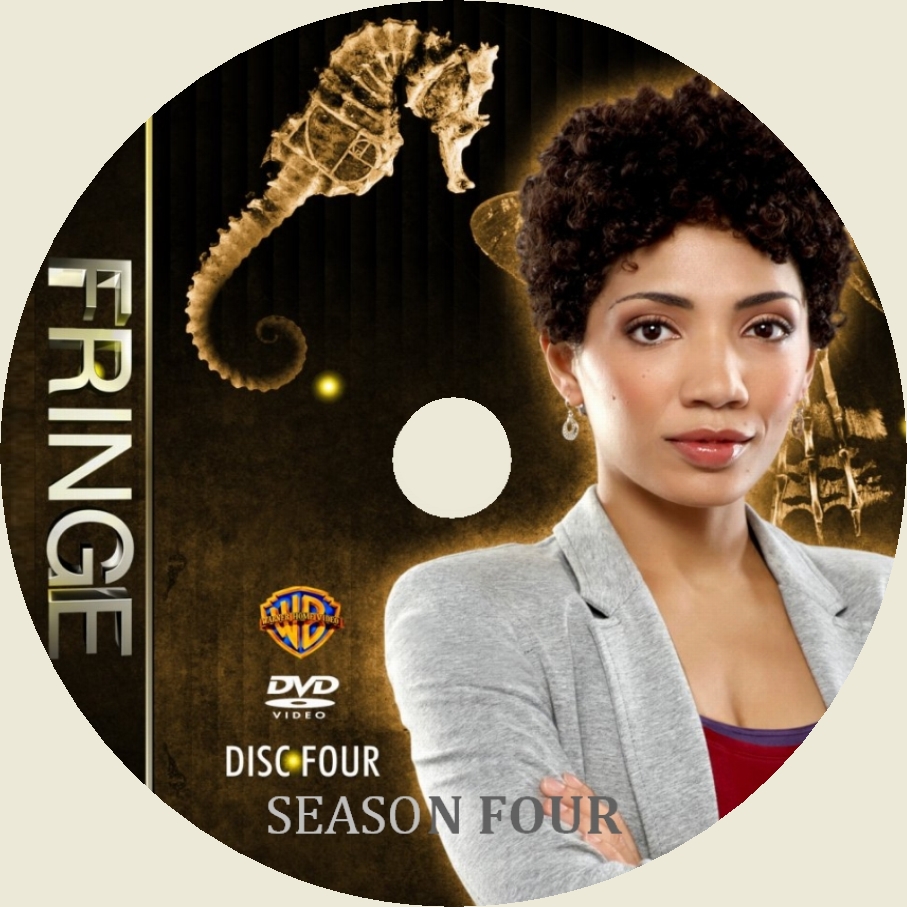 Fringe saison 4 DISC 4 custom