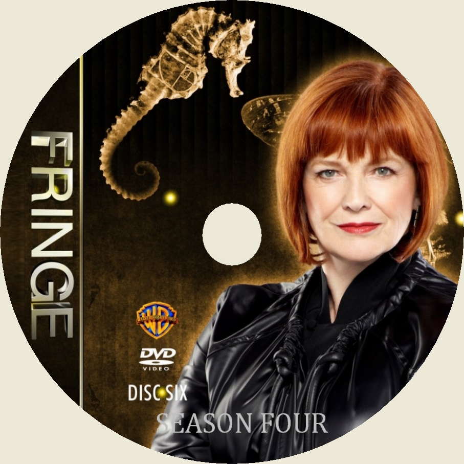 Fringe saison 4 DISC 6 custom