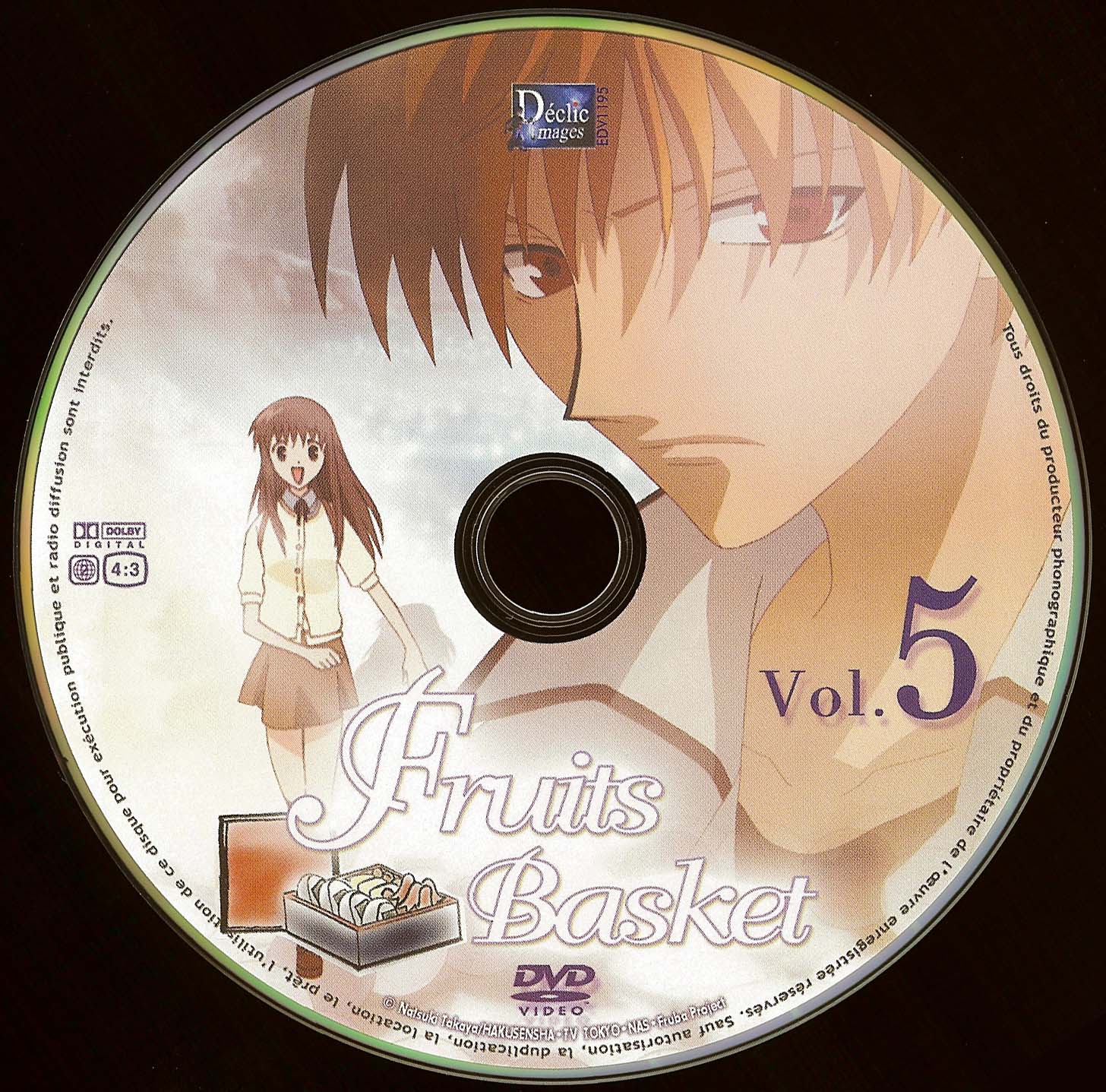 Fruits basket DISC 5