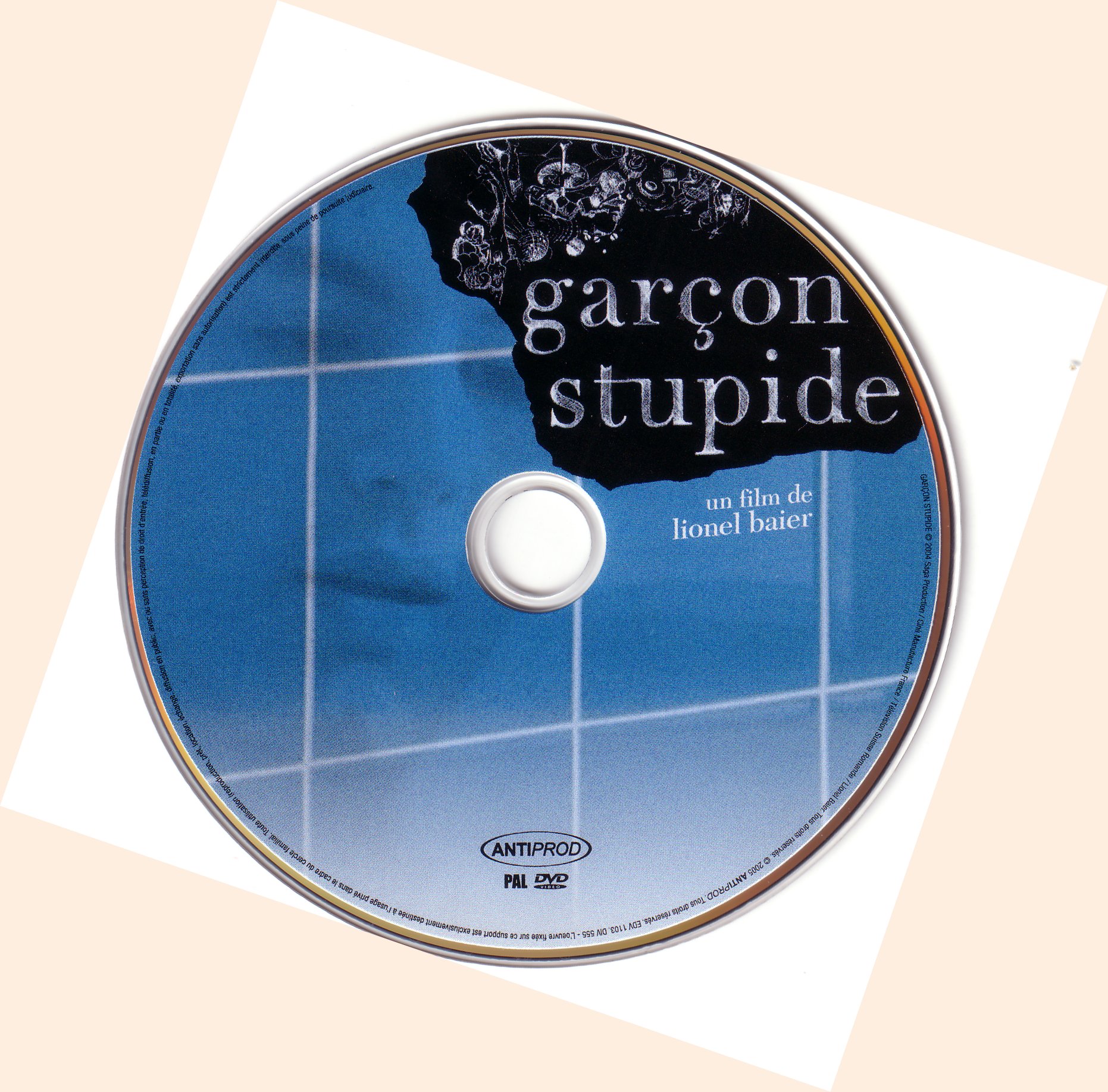 Garcon stupide