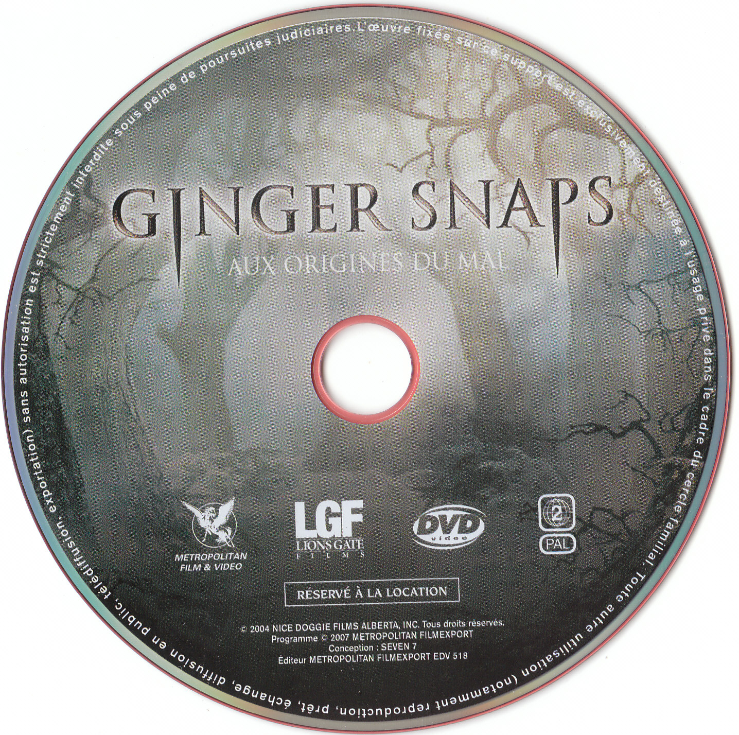 Ginger snaps