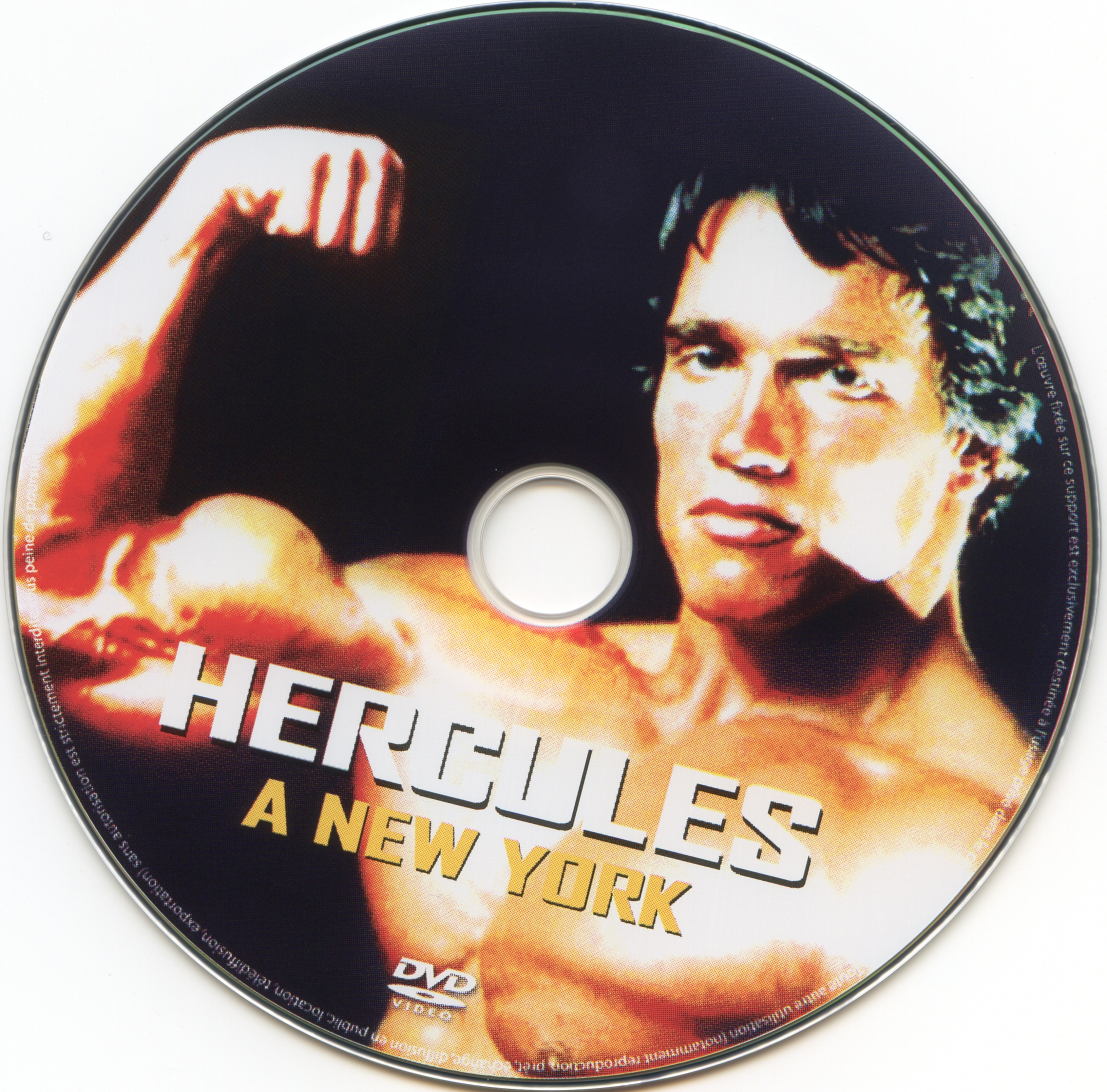 Hercules a New-york