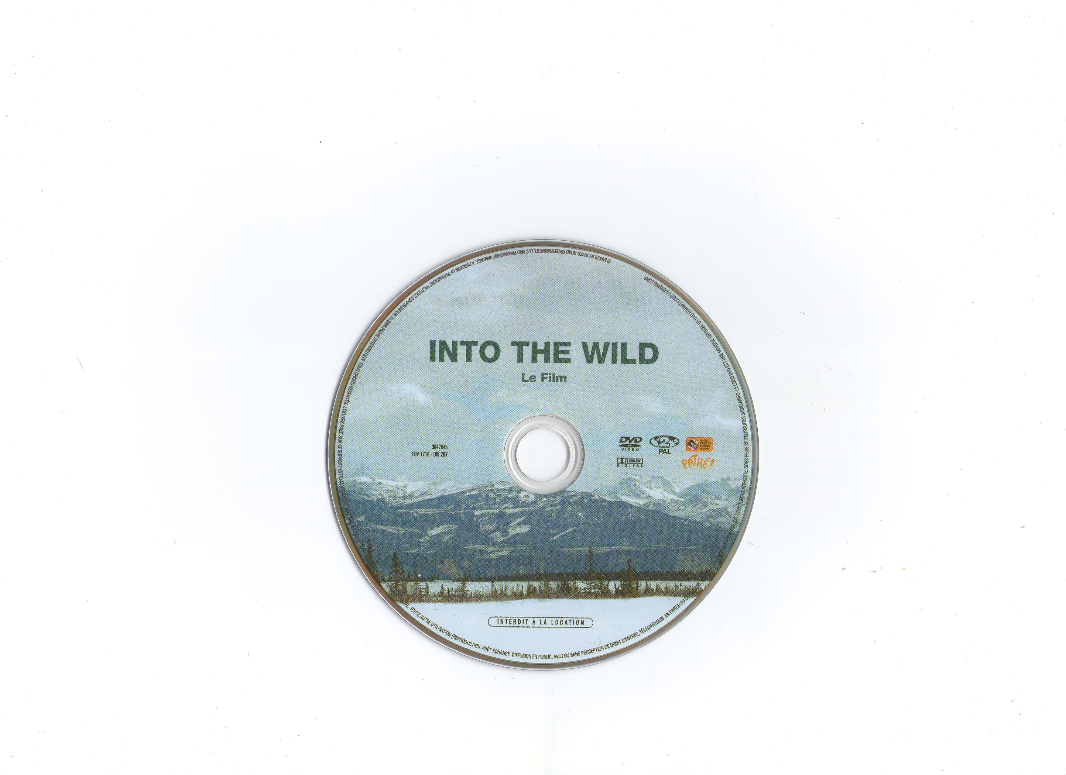 Into the wild