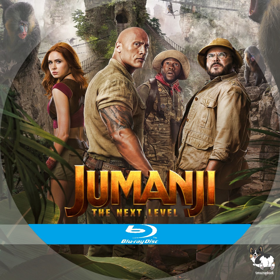Jumanji The Next Level  Blu ray custom