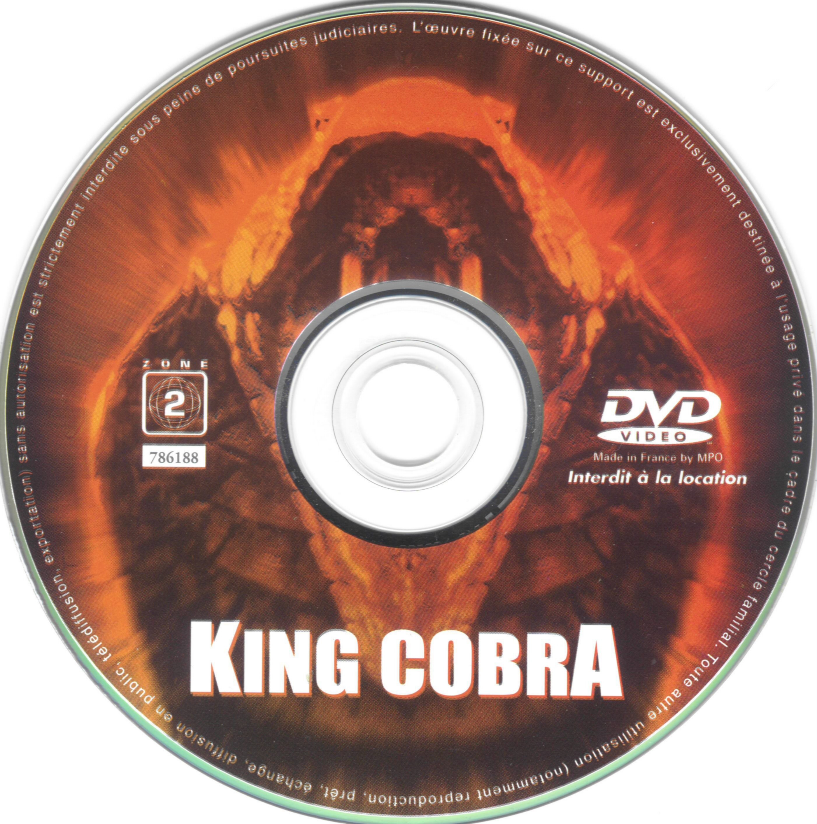 King Cobra