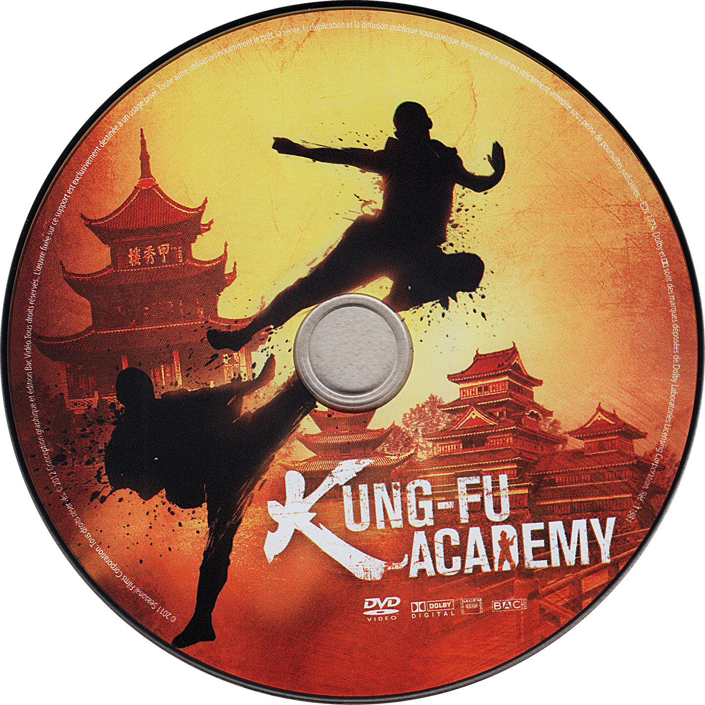 Kung-fu academy