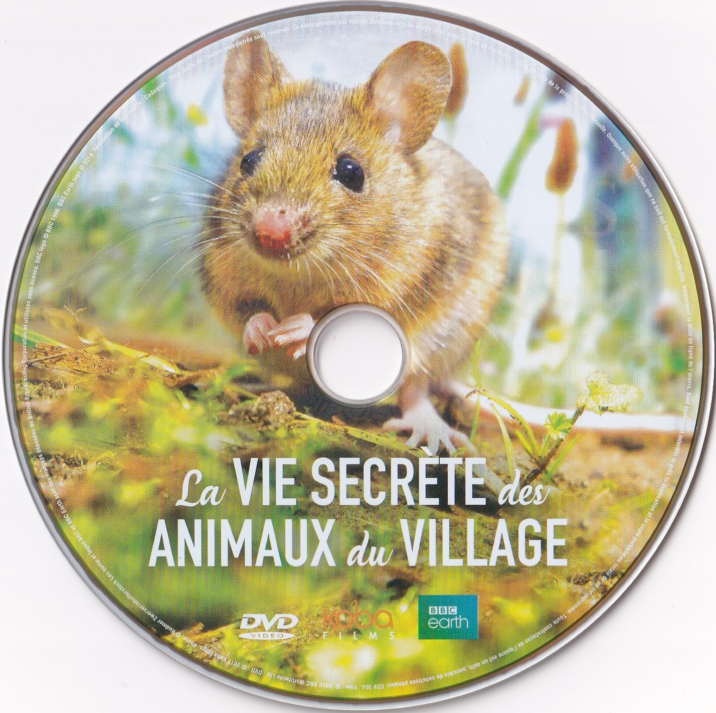 La Vie Secrete des Animaux du Village