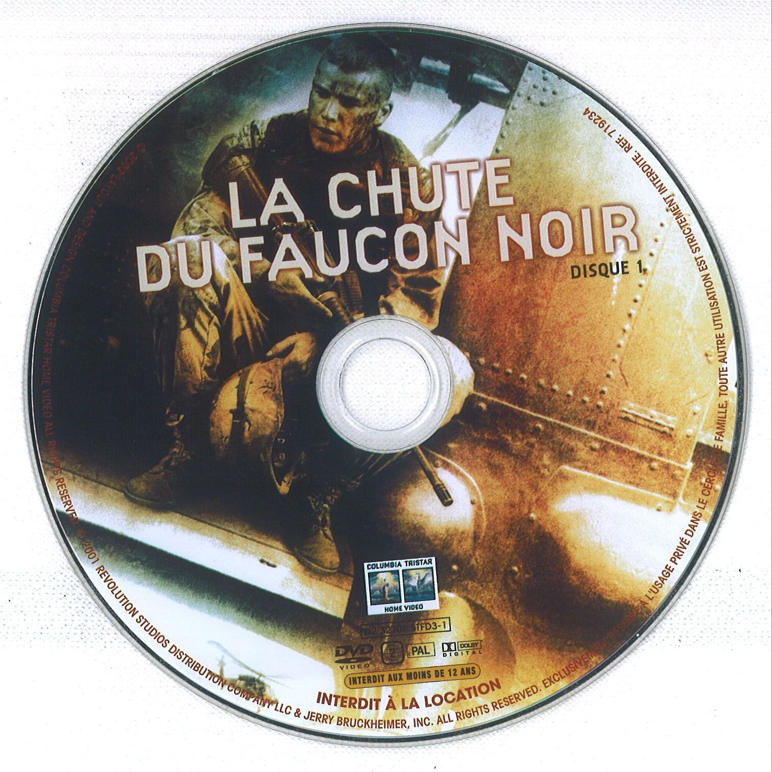 La chute du faucon noir