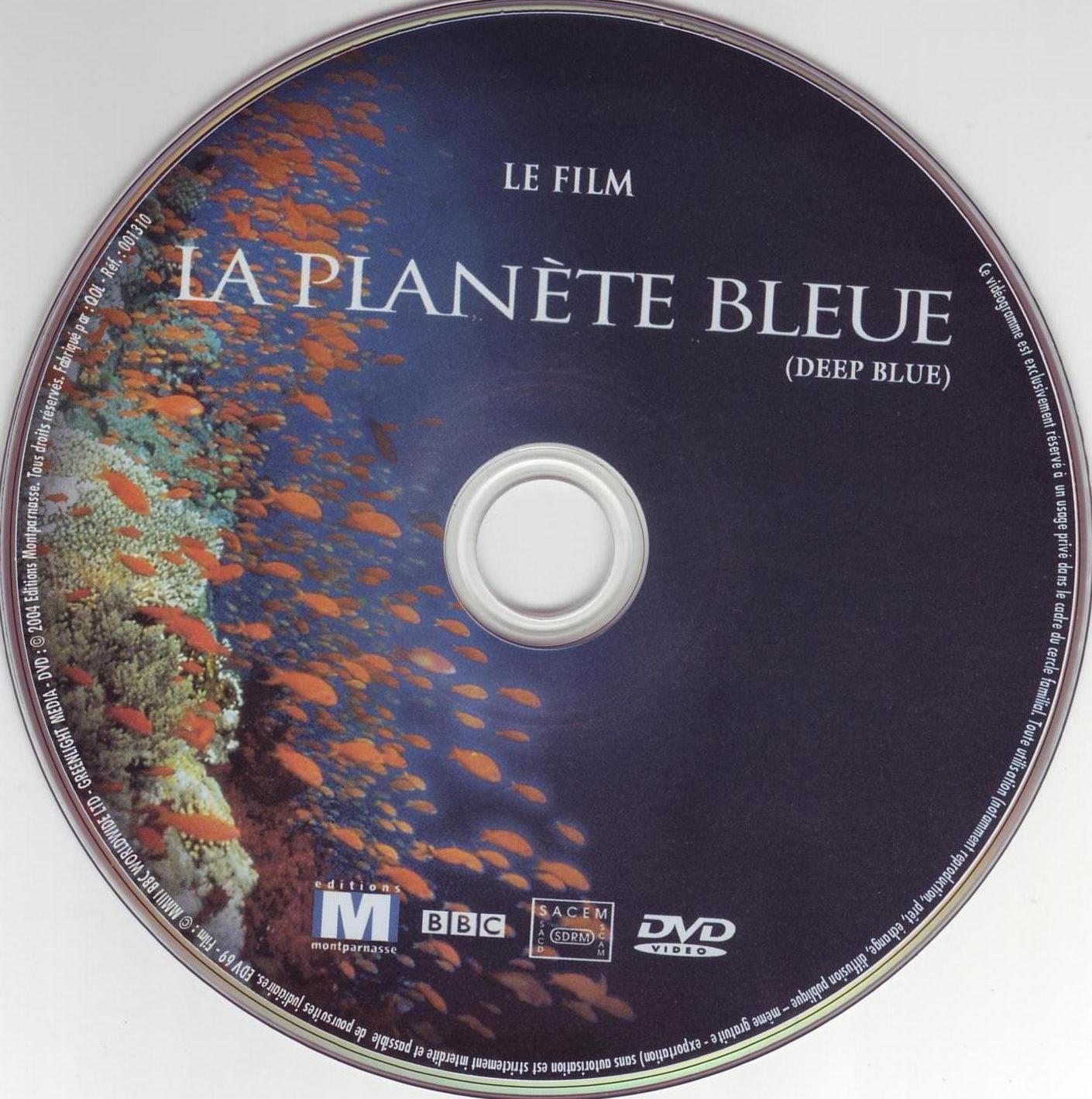 La plante bleue