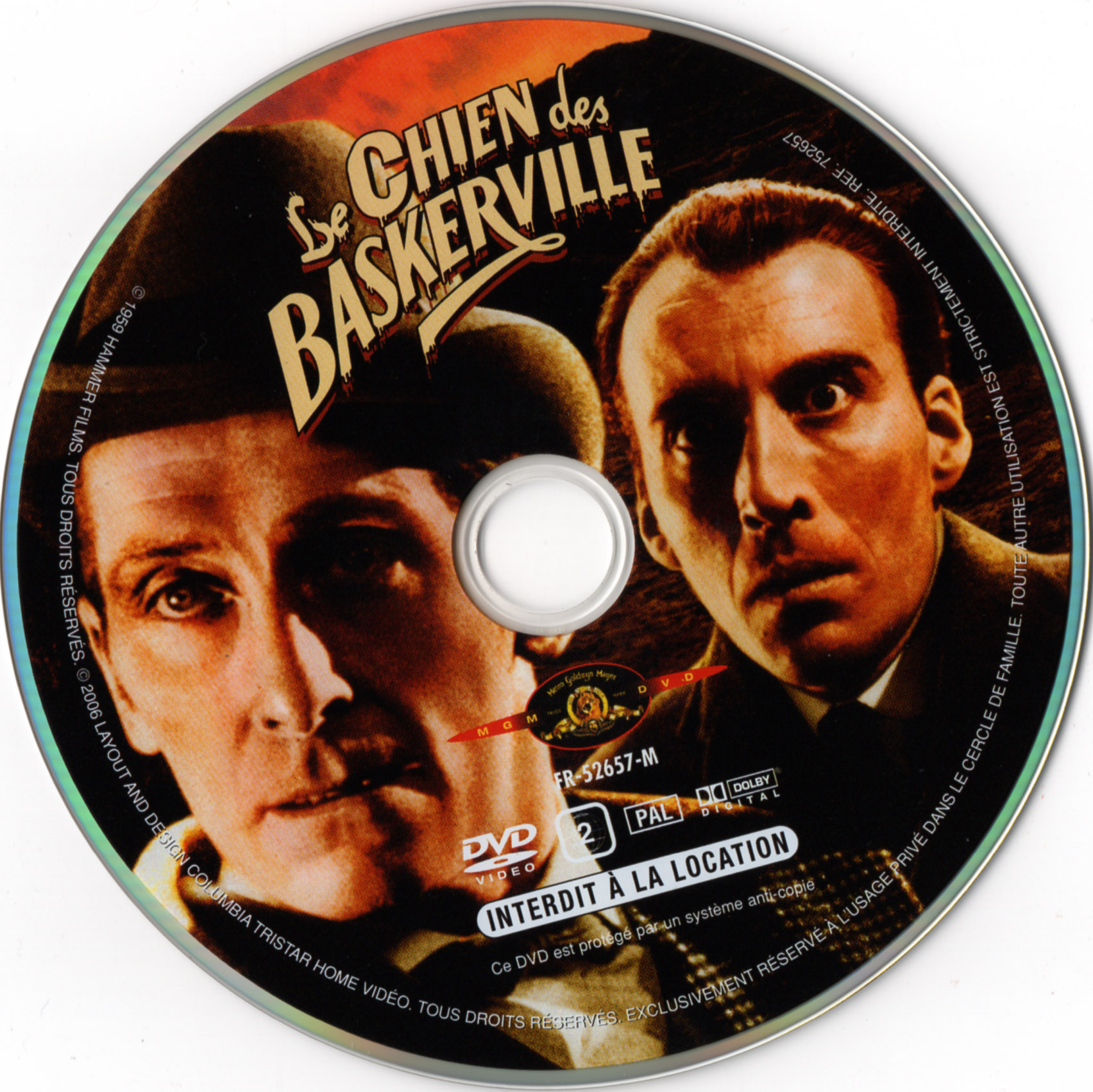 Le chien des Baskerville