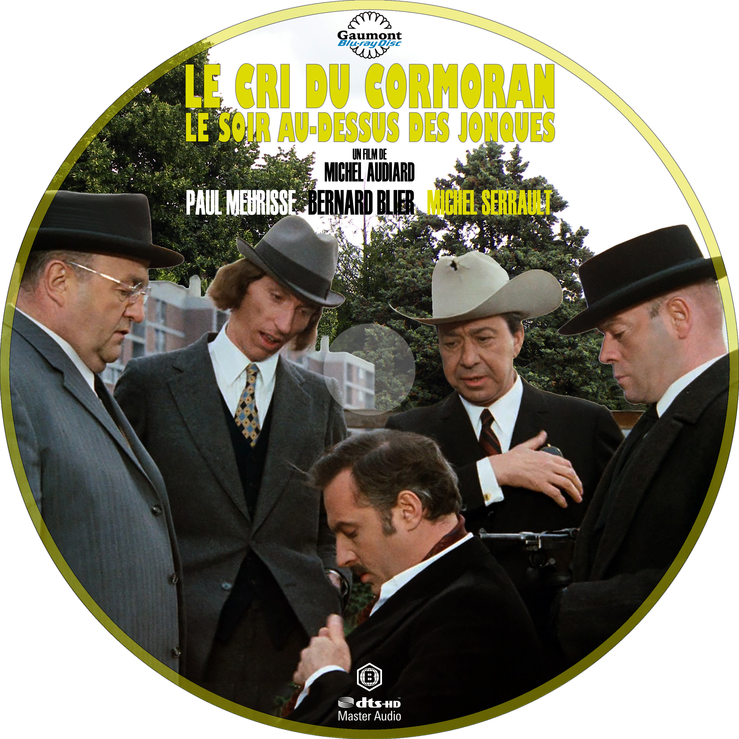 Le cri du cormoran le soir au dessus des jonques custom (BLU-RAY)