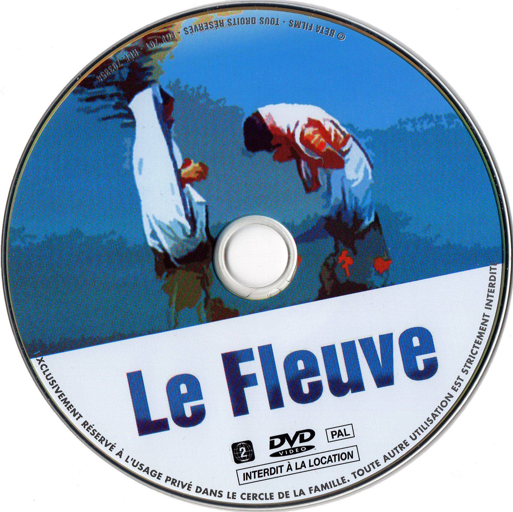 Le fleuve