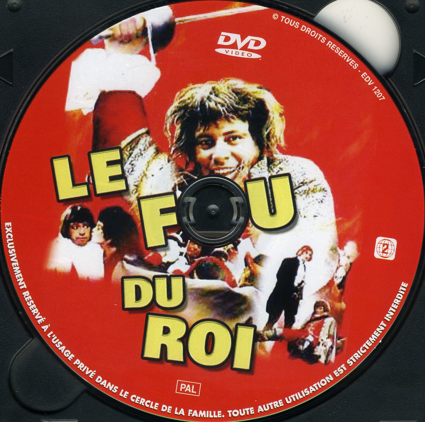 Le fou du roi