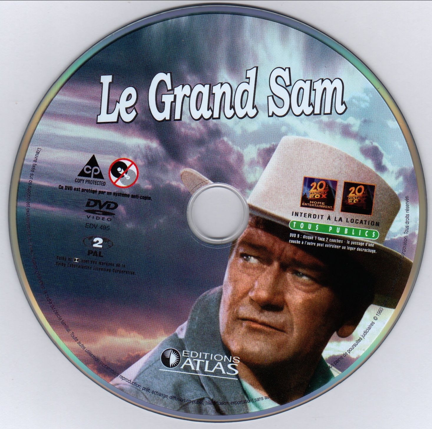 Le grand sam