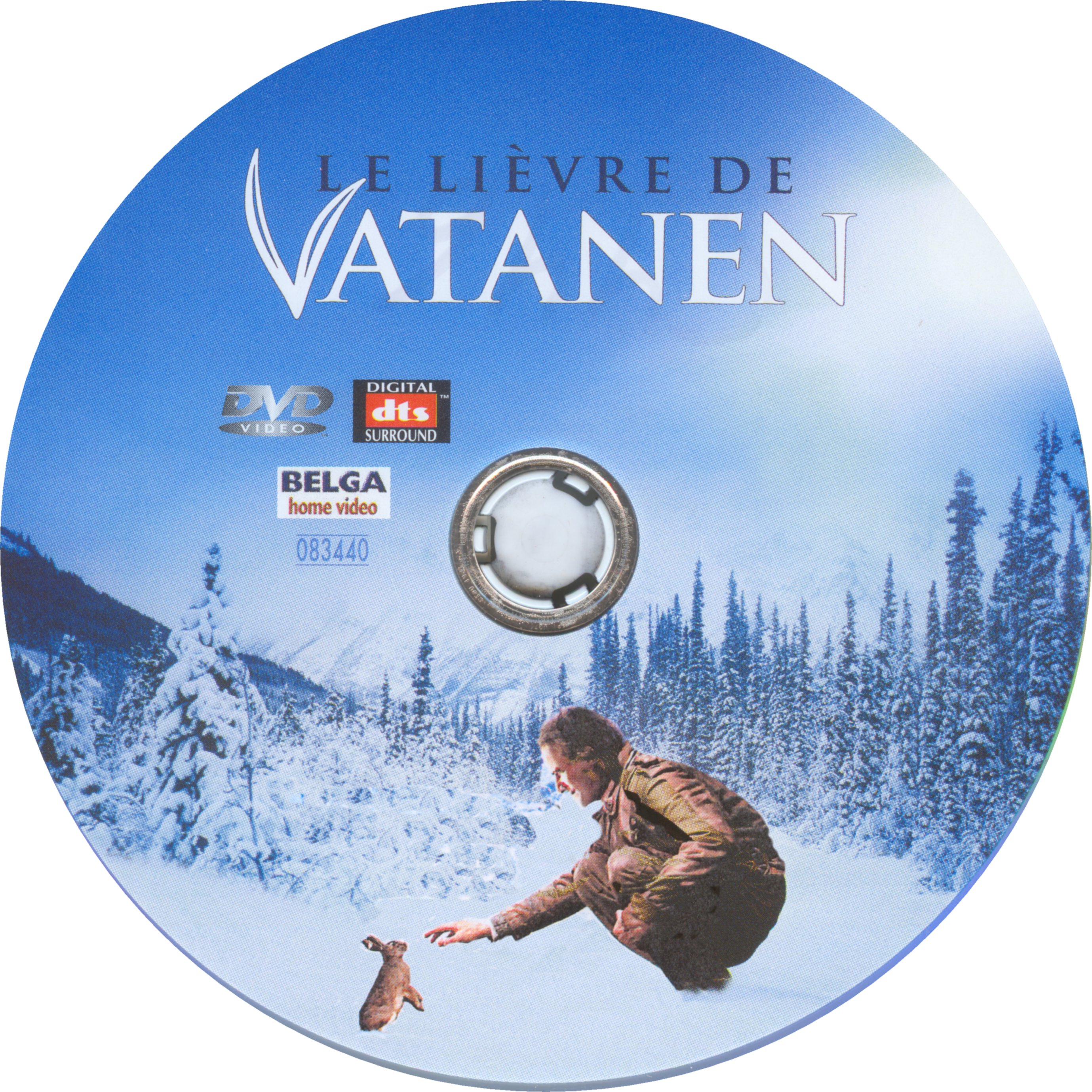 Le livre de Vatanen