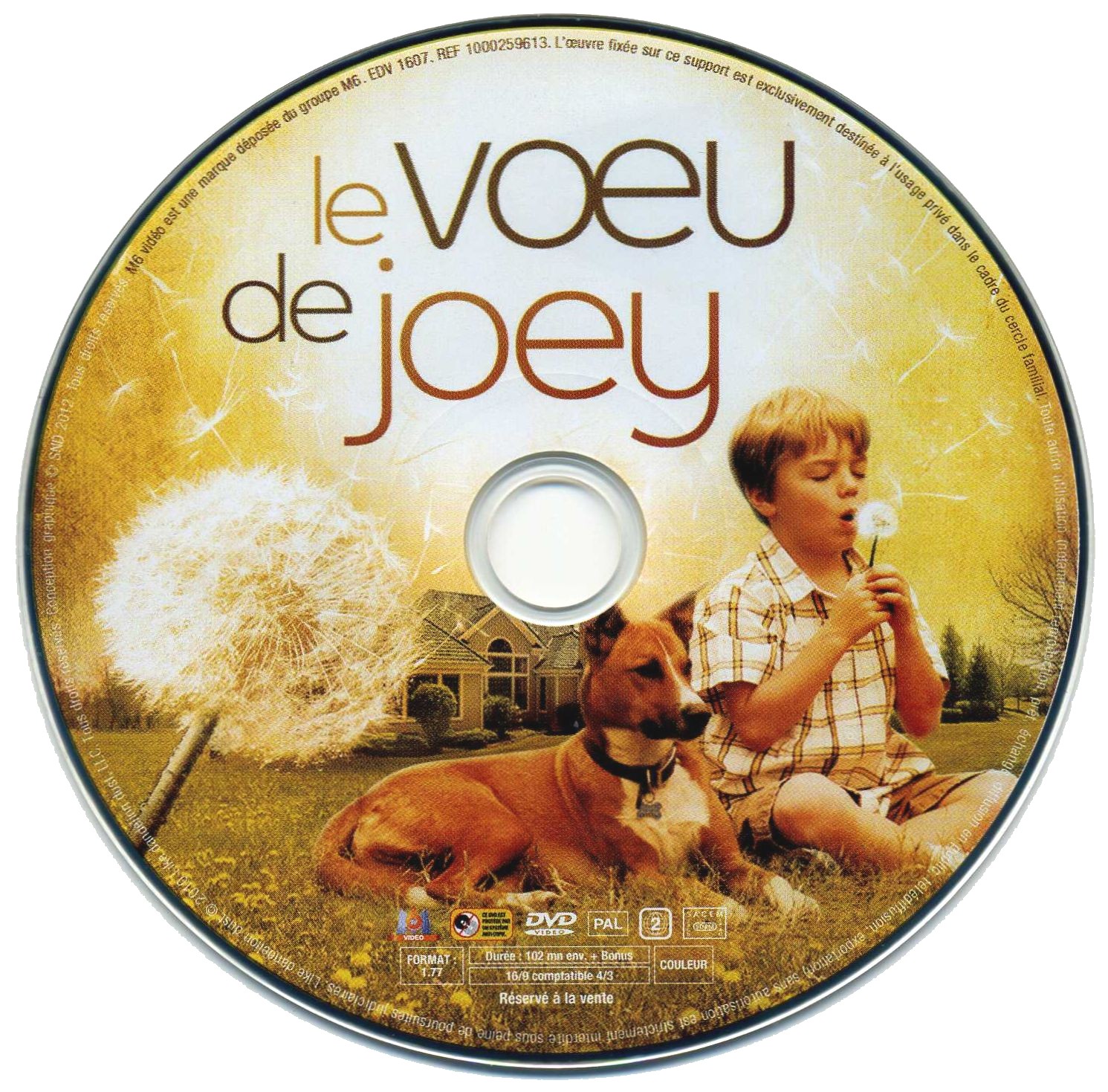 Le voeu de Joey